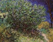 Vincent Van Gogh, Bushes
